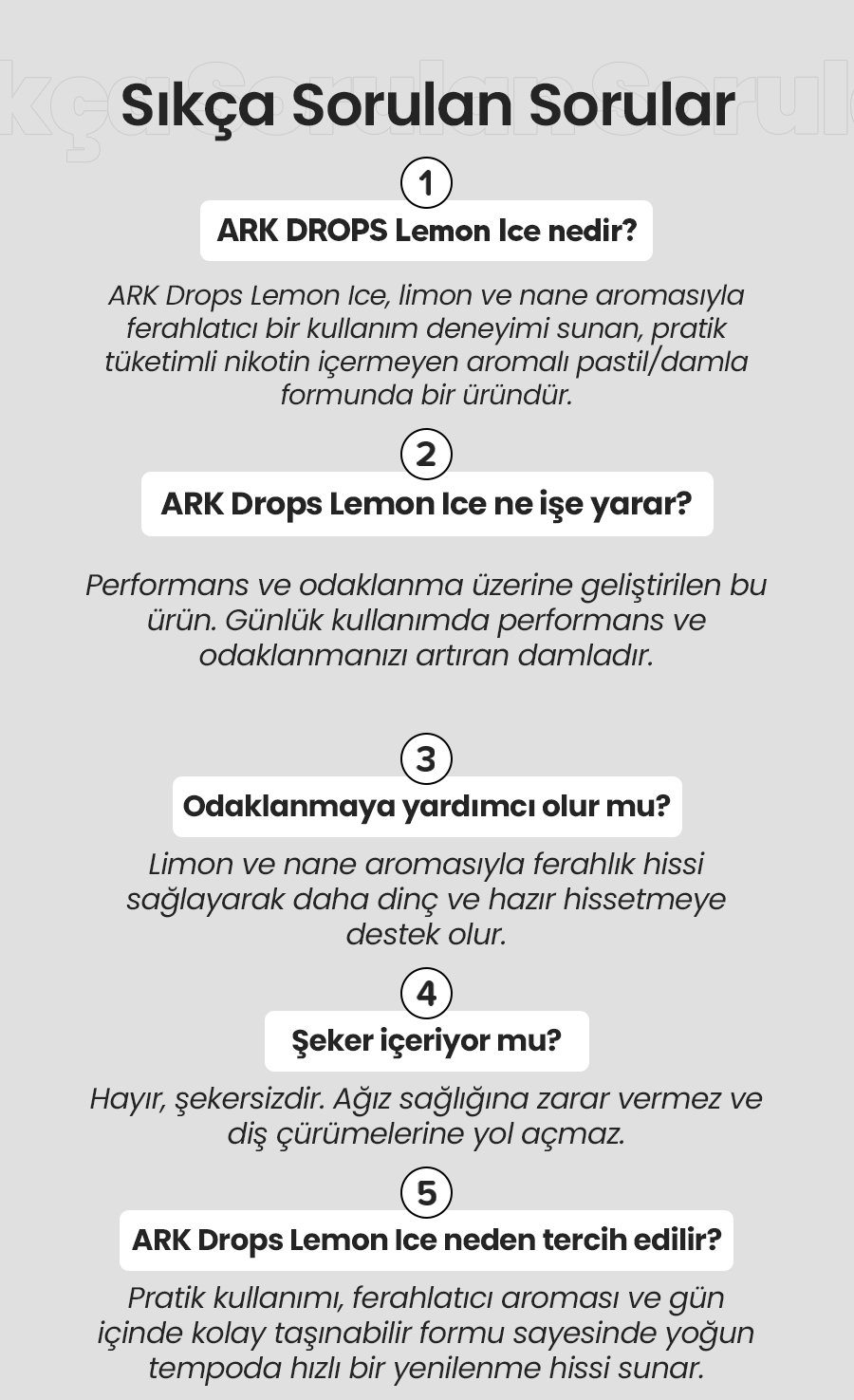 Sıkça Sorulan Sorular